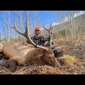 Meet your Posher, Cody